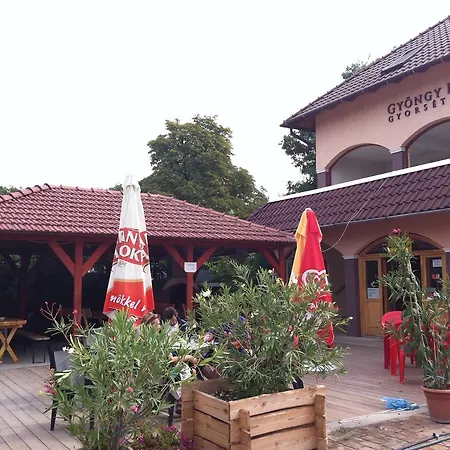 Gyongy Panzio *