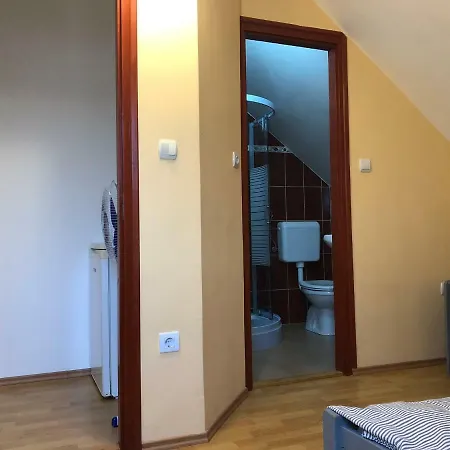 Gyongy Panzio Guest house *